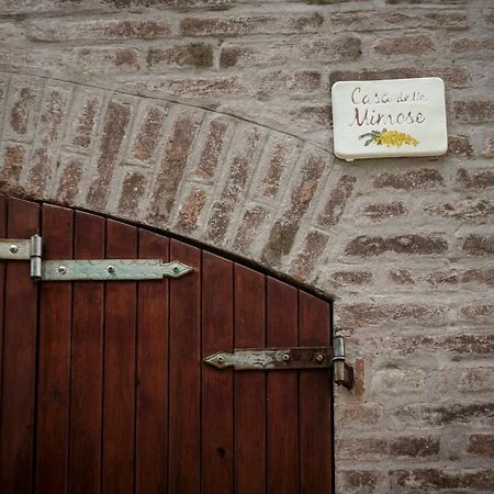 Accademia Al Colle Apartment Bologna Ngoại thất bức ảnh